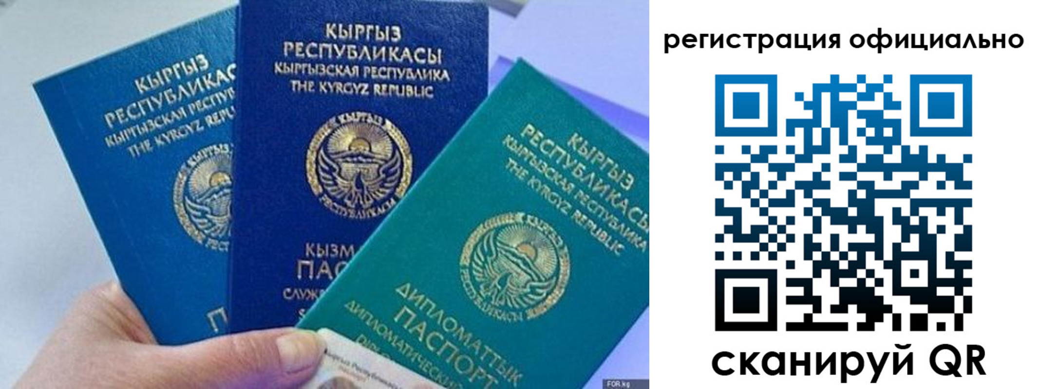 прописка в Волжске